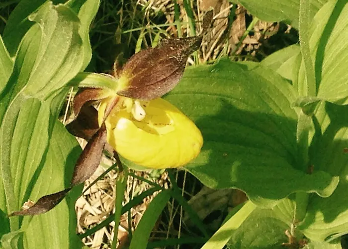 Du Verdon 3* Beauvezer