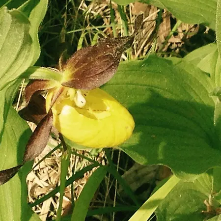 Du Verdon 3* Beauvezer